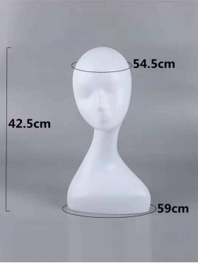 Head Display